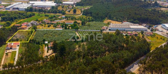 Terrain à Agueda, Portugal 3700m² No. 78829 8