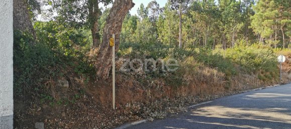 Terrain à Agueda, Portugal 3700m² No. 78829 23