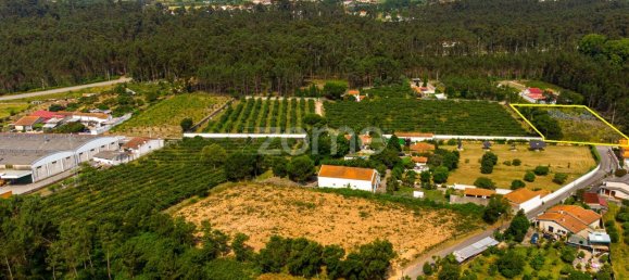 Terrain à Agueda, Portugal 3700m² No. 78829 7