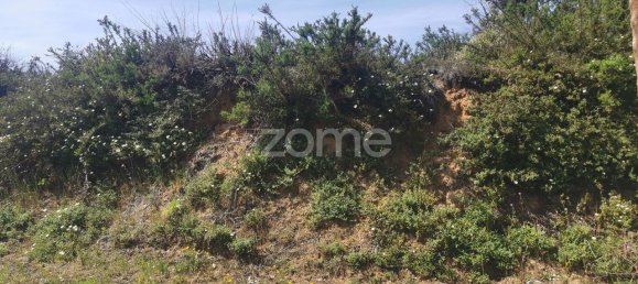 Terrain à Agueda, Portugal 3700m² No. 78829 2