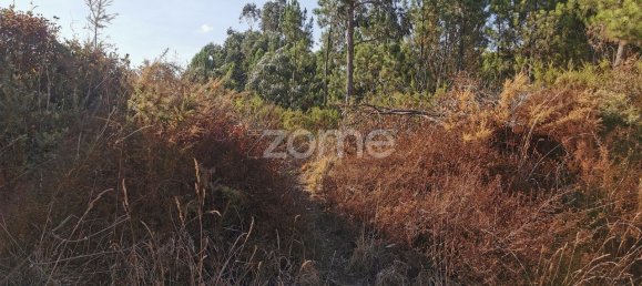 Terrain à Agueda, Portugal 3700m² No. 78829 27