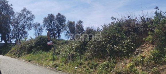 Terrain à Agueda, Portugal 3700m² No. 78829 32