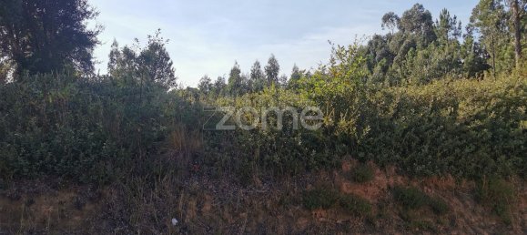 Terrain à Agueda, Portugal 3700m² No. 78829 25