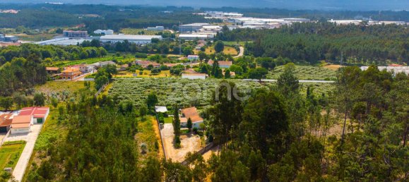 Terrain à Agueda, Portugal 3700m² No. 78829 12