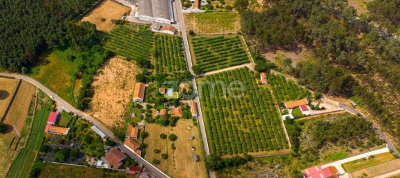 Terrain à Agueda, Portugal 3700m² No. 78829 6