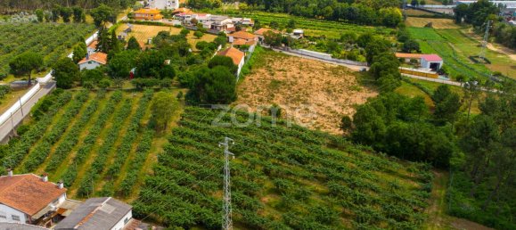 Terrain à Agueda, Portugal 3700m² No. 78829 15