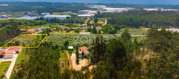 Terrain à Agueda, Portugal 3700m² No. 78829 11