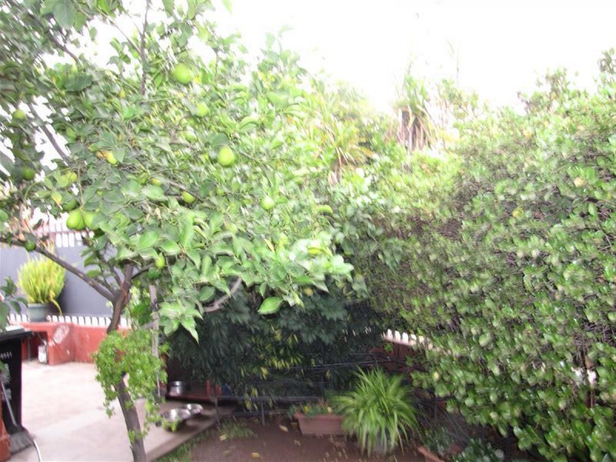 3 bedrooms House in Santiago, Chile No. 2759