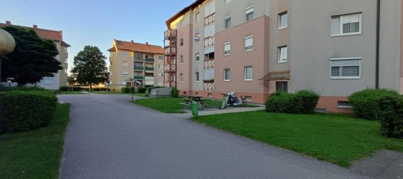 3-salle Appartement à Wels, Austria No. 223199 13