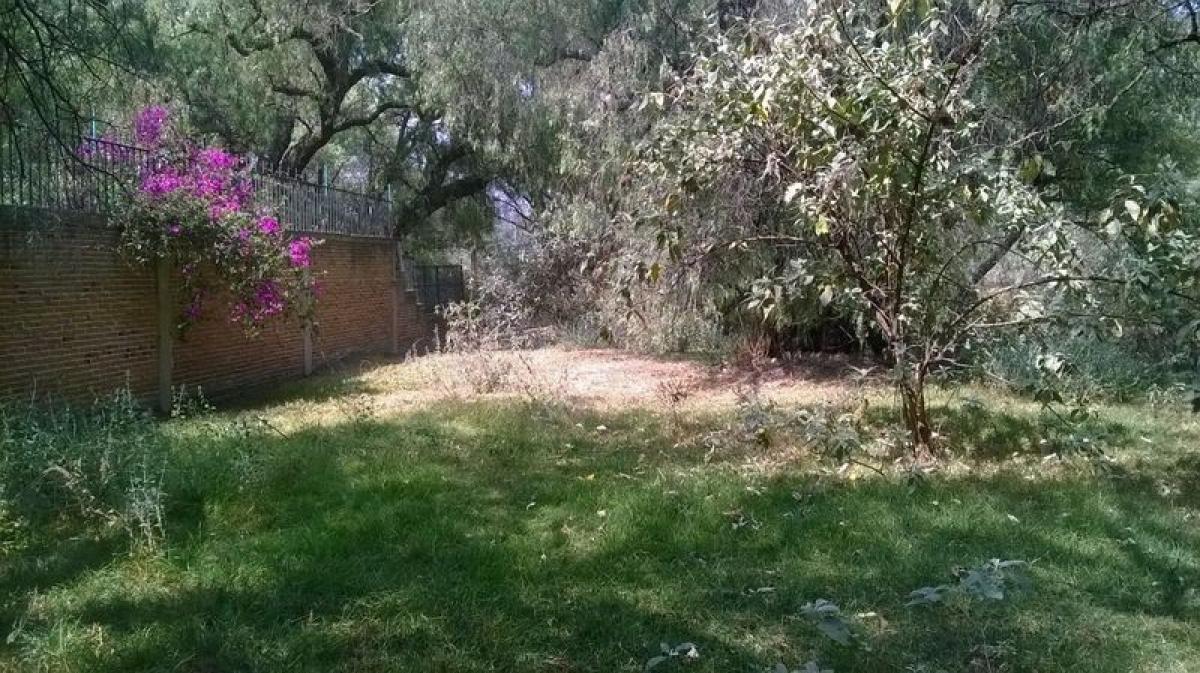 Земельный участок в Тепоцотлан, Мексика № 206314