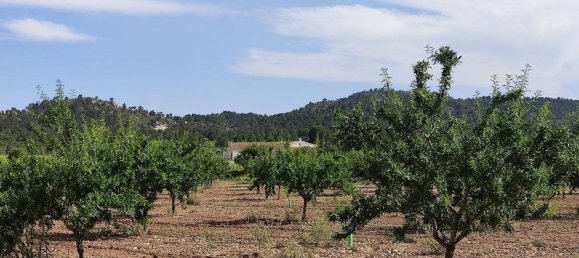 10 Schlafzimmer Haus in Yecla, Spain, Nr. 151368 22