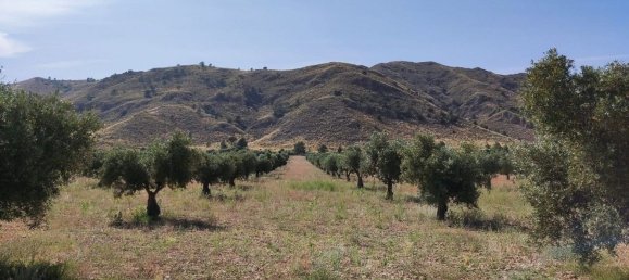 10 Schlafzimmer Haus in Yecla, Spain, Nr. 151368 21