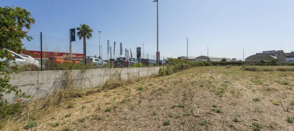 1-salle Terrain à Modugno, Italy No. 111664 6