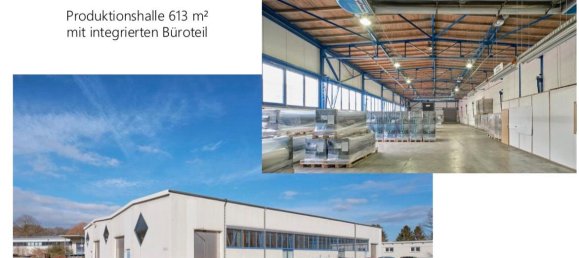 Propiedad comercial en Plauen, Germany 8423 m² No. 231865 11