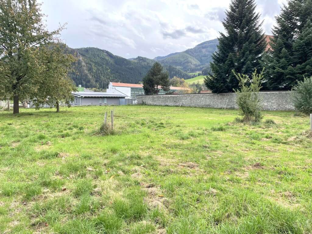 Land in Mautern in Steiermark, Austria No. 22272