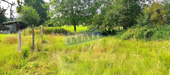 Дом с 1 спальней в Люшё, Франция № 259652 9