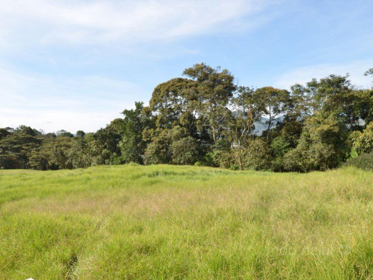  قطعة أرض في Antioquia, Colombia رقم 597