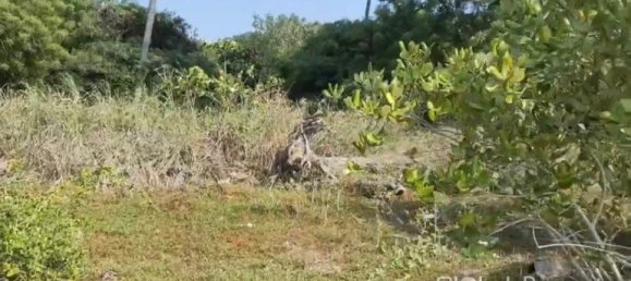 Land for sale in Pattaya, Chonburi, Eastern Thailand, Thailand № 61475 4