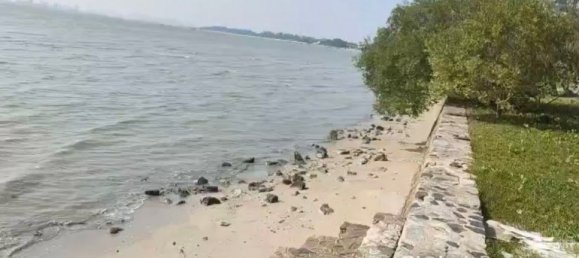 Land for sale in Pattaya, Chonburi, Eastern Thailand, Thailand № 61475 6