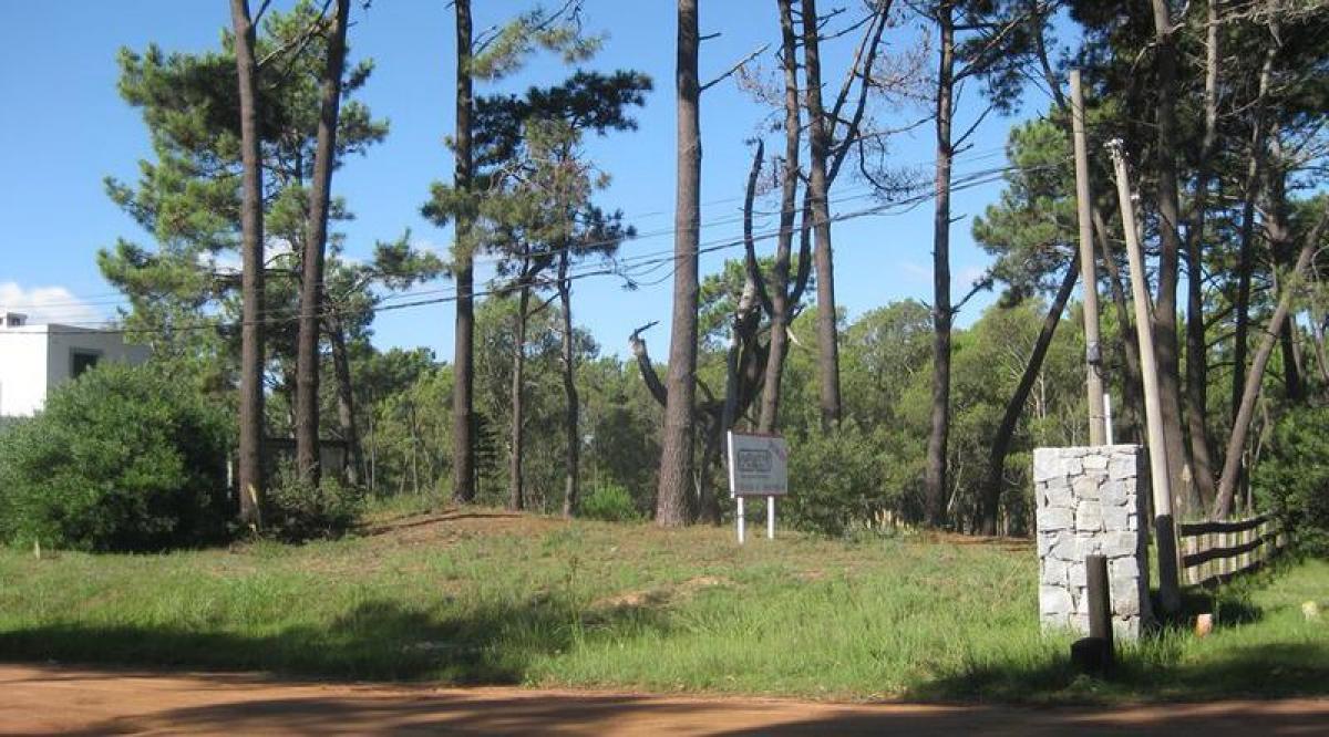 Terrain à Maldonado, Uruguay No. 14476