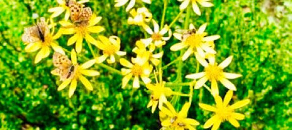 8-Zimmer Stadthaus in München, Germany, Nr. 273602 11