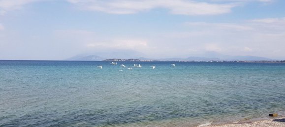 6 rooms Villa in Lonato del Garda, Italy No. 335615 26