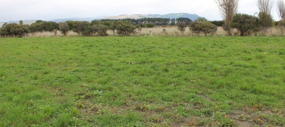 Terrain à Otaki, New Zealand 735m² No. 149 6