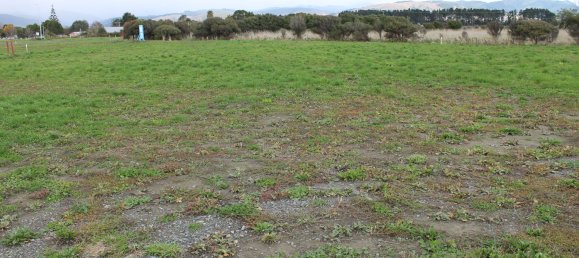 Terrain à Otaki, New Zealand 735m² No. 149 2