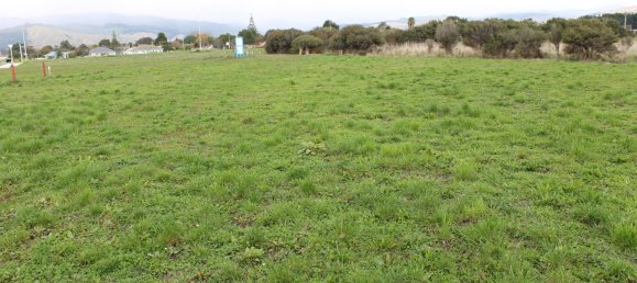 Terrain à Otaki, New Zealand 735m² No. 149 4