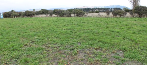 Terrain à Otaki, New Zealand 735m² No. 149 5