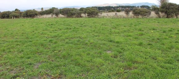 Terrain à Otaki, New Zealand 735m² No. 149 3
