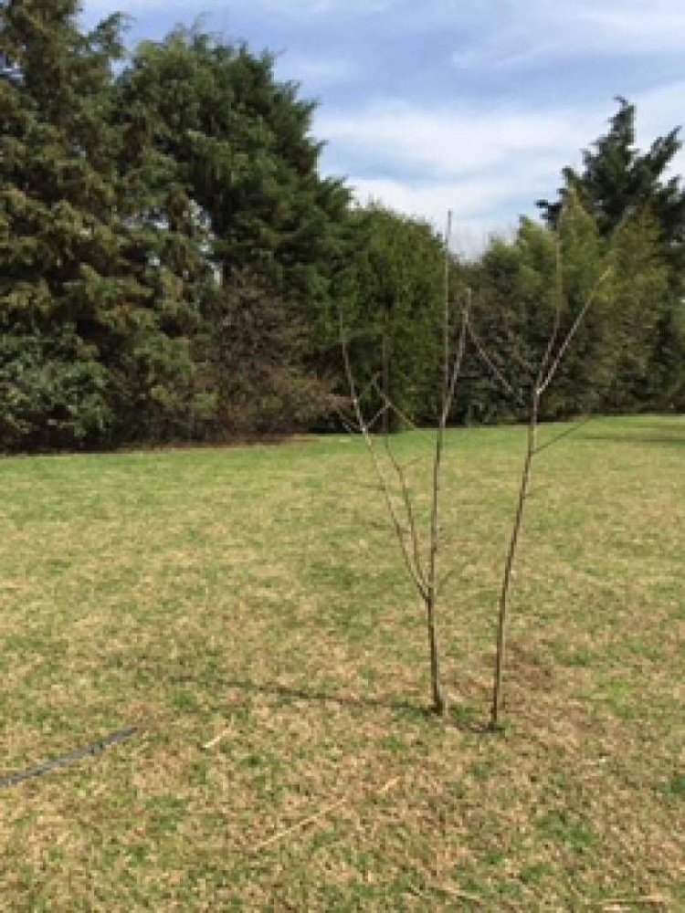  Land in Pilar, Argentina No. 110870