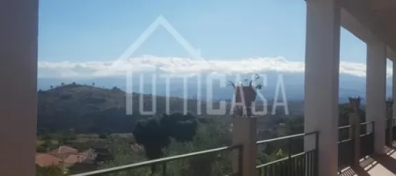 20 bedrooms Hotel in Mangualde, Portugal No. 41376 13