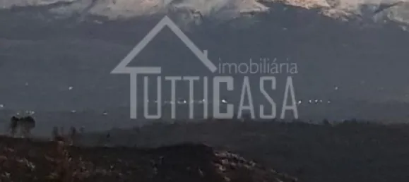 20 bedrooms Hotel in Mangualde, Portugal No. 41376 14