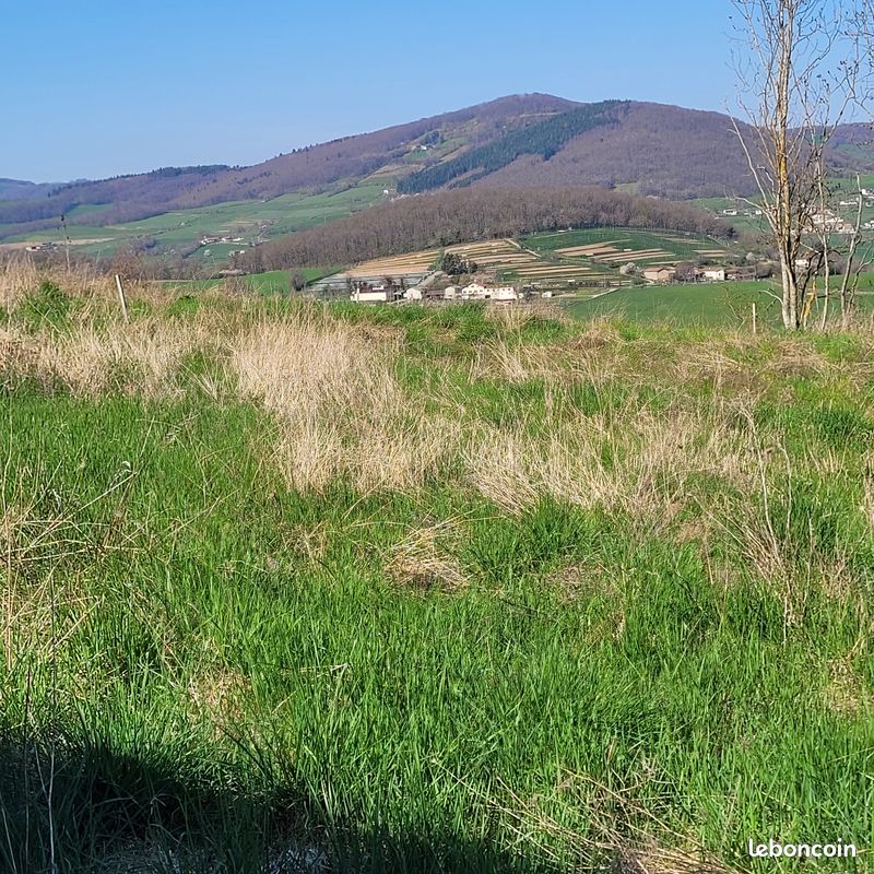 Terrain à Saint-Laurent-de-Chamousset, France No. 285240