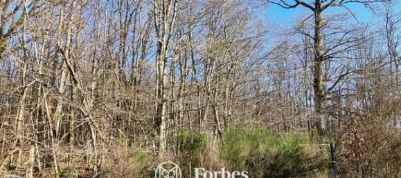 4 غرف نوم منزل في Vienne, France رقم 309983 16