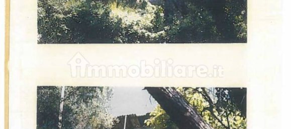 1940m² Land in Rapallo, Italy No. 12743 4