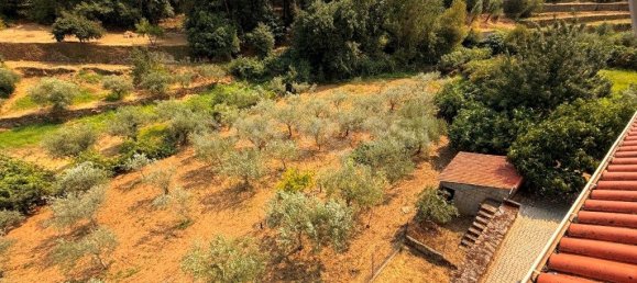 7 bedrooms House in Torre de Moncorvo, Portugal No. 275471 14