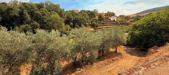 7 bedrooms House in Torre de Moncorvo, Portugal No. 275471 15