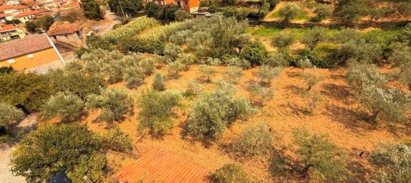 7 bedrooms House in Torre de Moncorvo, Portugal No. 275471 13