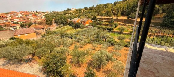 7 bedrooms House in Torre de Moncorvo, Portugal No. 275471 12