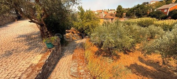 7 bedrooms House in Torre de Moncorvo, Portugal No. 275471 19