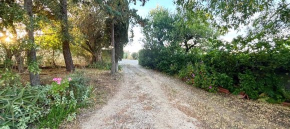 Villa T3 em Telti, Italy N.º 269590 4