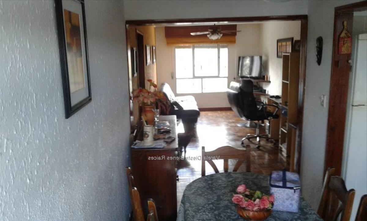 4 bedrooms Apartment in Montevideo, Uruguay No. 8189