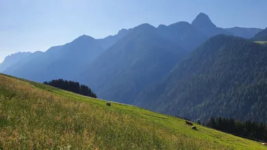 5 bedrooms House in Anras, Austria No. 175061