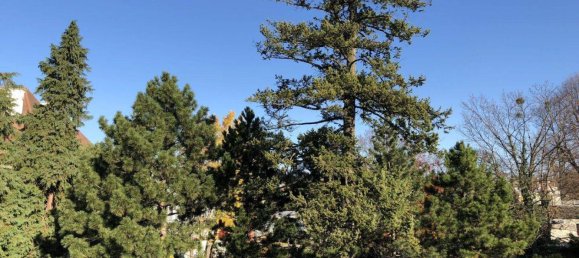 4-salle Duplex à Liesing, Austria No. 233870 15