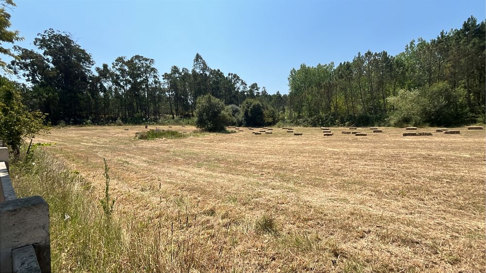 Земельный участок в Монте Реал, Португалия № 219513