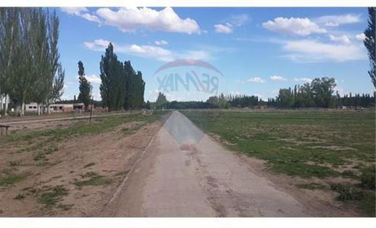 Grundstück in Neuquen, Argentina, Nr. 32511