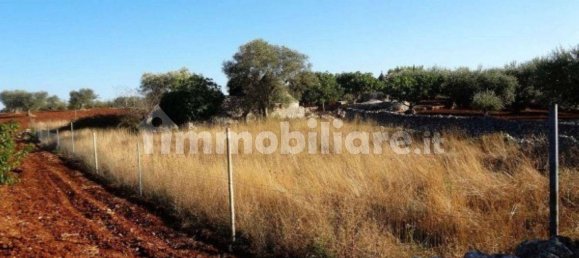 Квартира с 3 комнатами в Альберобелло, Италия № 141491 13