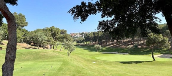 2 غرف نوم بانتهاوس في Benalmadena, Spain رقم 34975 81